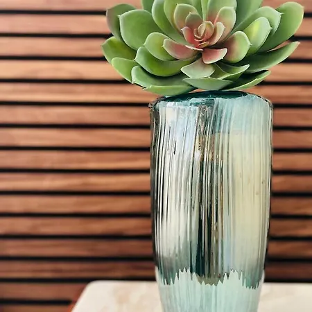 Stuckhotel Fettehenne ラーティンゲン