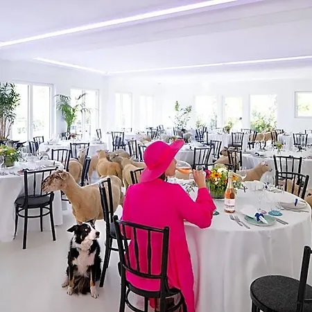 Stuckhotel Fettehenne ראטינגן